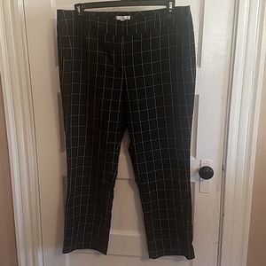 New York & Company pants